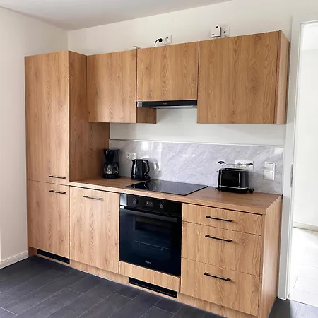 Strandoase 4 公寓 青斯特